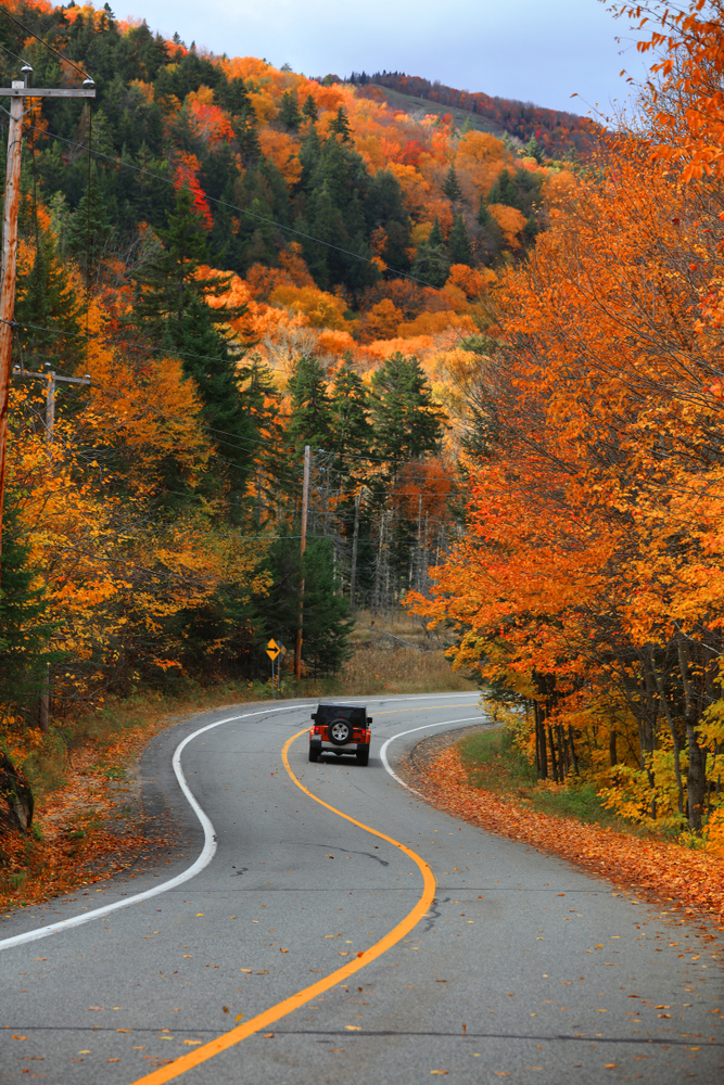 Auto insurance